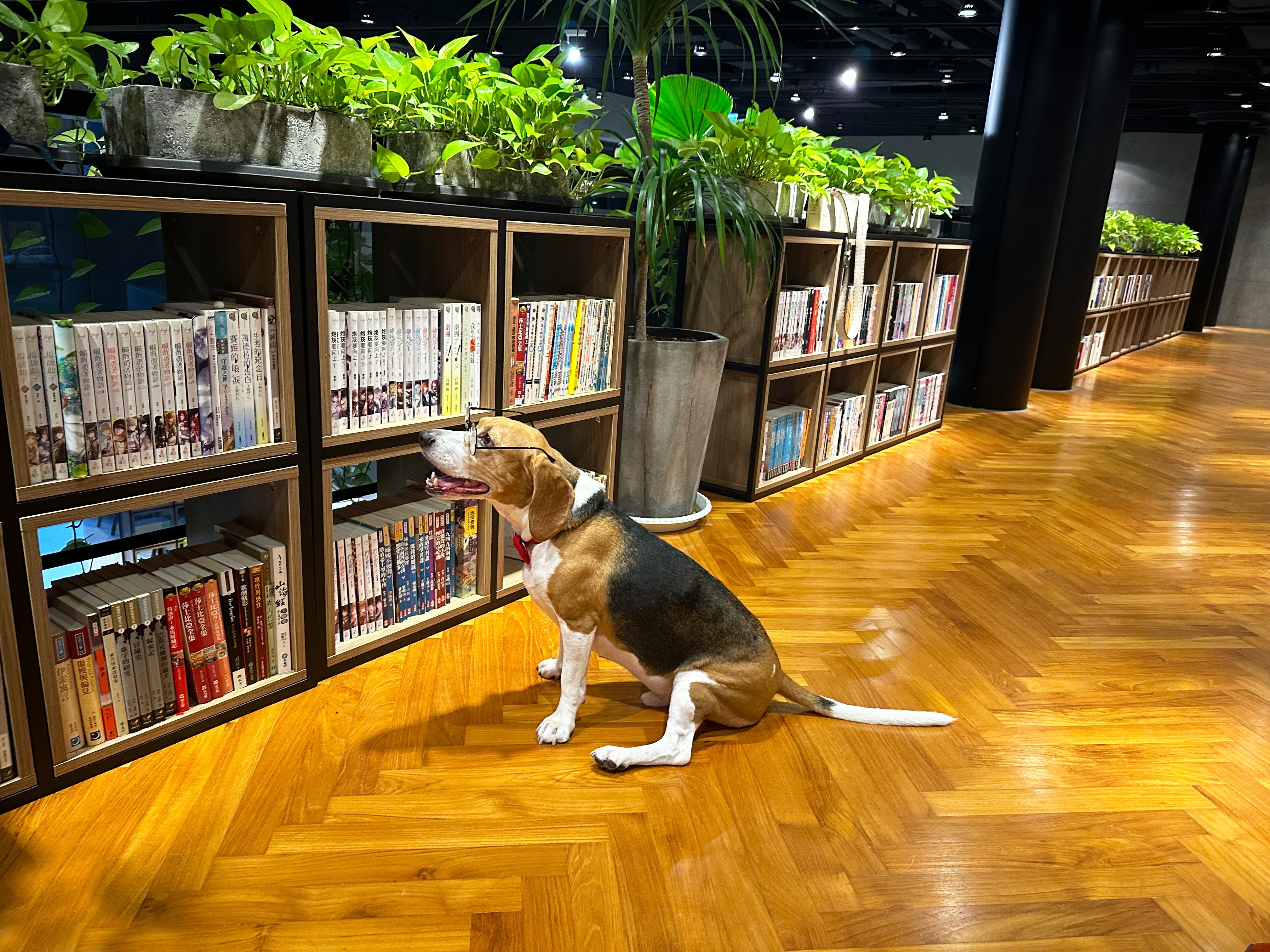 【媒體報導】中部首間寵物友善圖書館 拾本書堂創意攝影徵件倒數